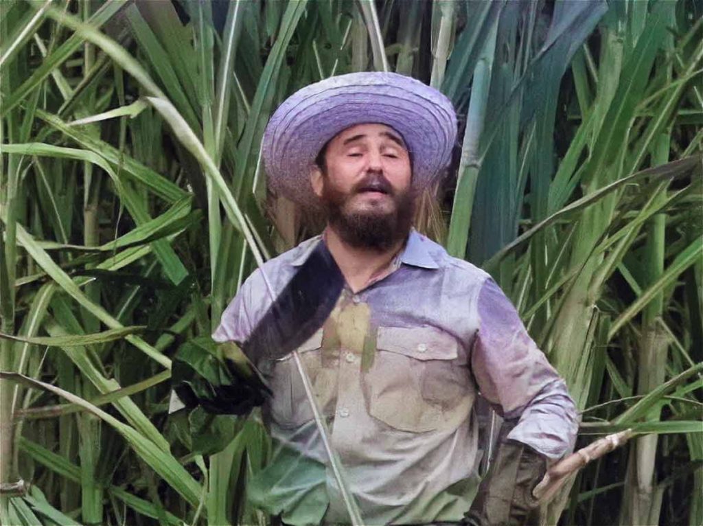 Nilo Cruz trae a Miami una obra teatral inspirada en la Zafra de los Diez Millones, de 1970 1 zafra 10 millones cuba