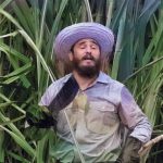 Nilo Cruz trae a Miami una obra teatral inspirada en la Zafra de los Diez Millones, de 1970