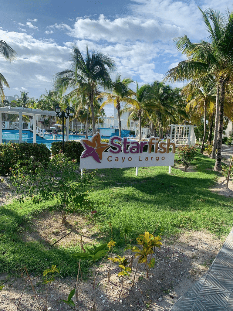 Starfish Cayo Largo